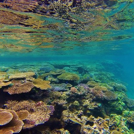 Mai Dive' Astrolabe Reef Resort Naqara Dış mekan fotoğraf