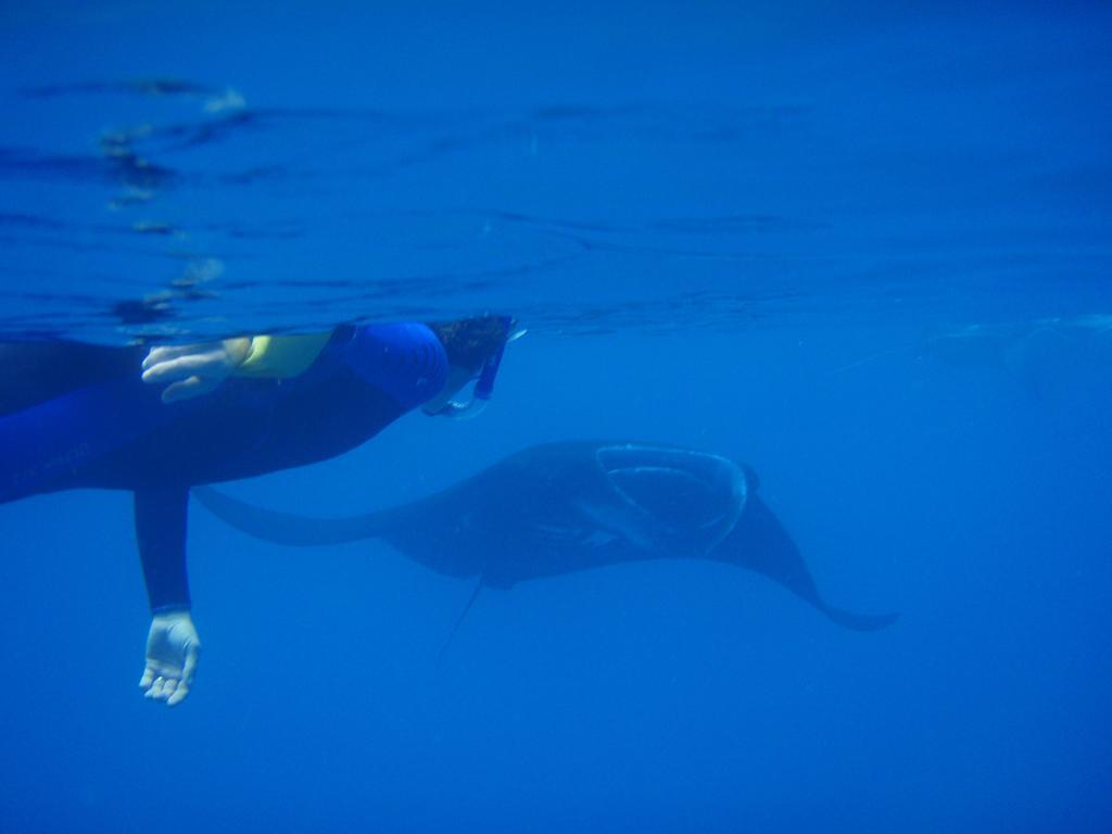 Mai Dive' Astrolabe Reef Resort Naqara Dış mekan fotoğraf