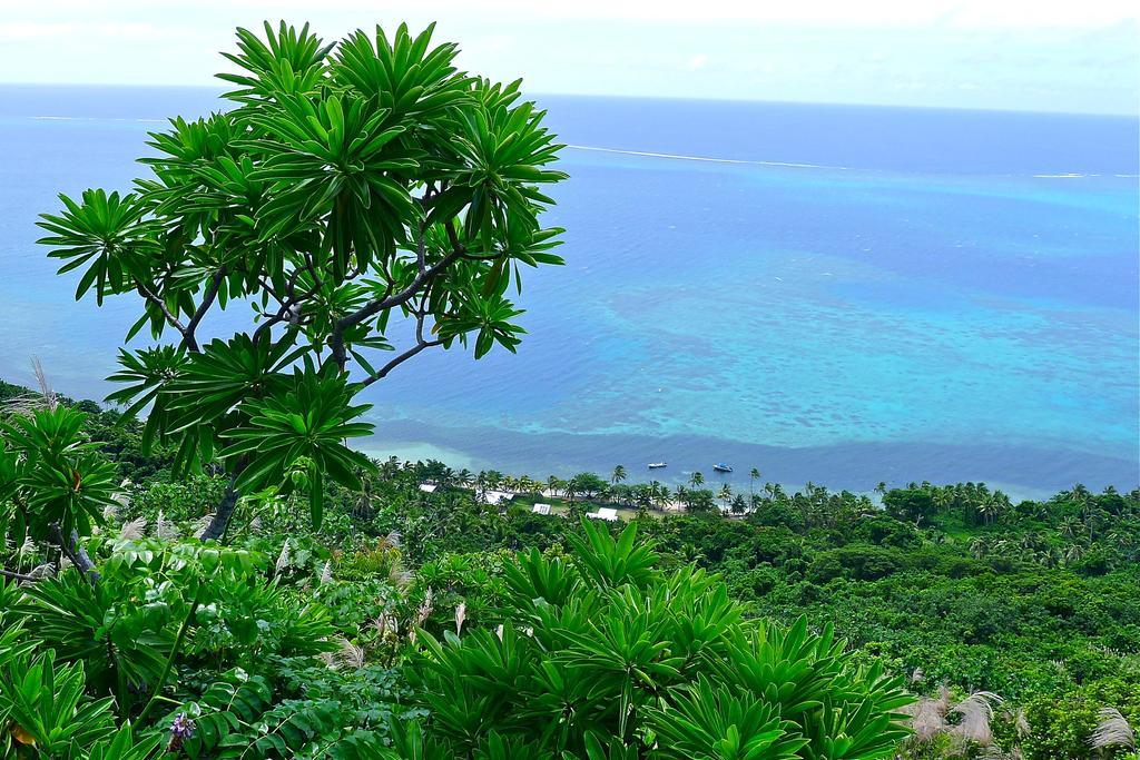 Mai Dive' Astrolabe Reef Resort Naqara Oda fotoğraf