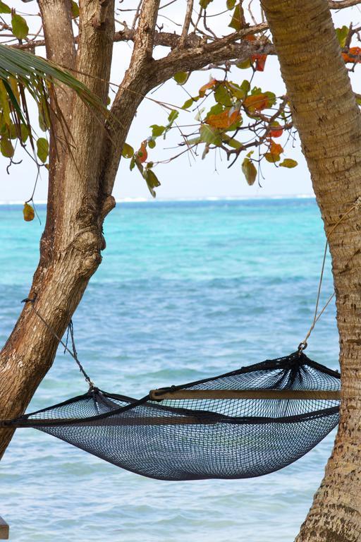 Mai Dive' Astrolabe Reef Resort Naqara Oda fotoğraf