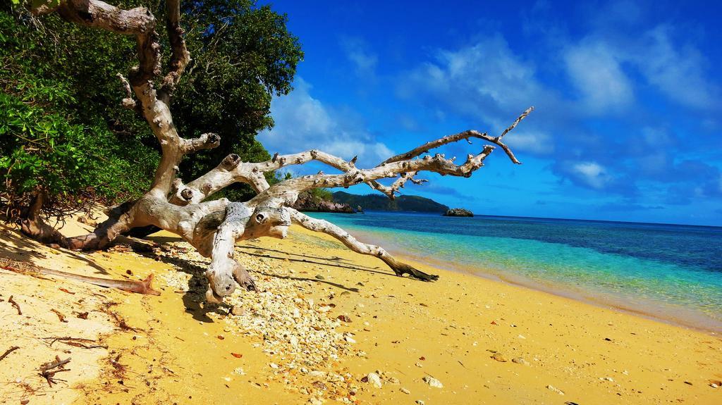 Mai Dive' Astrolabe Reef Resort Naqara Dış mekan fotoğraf