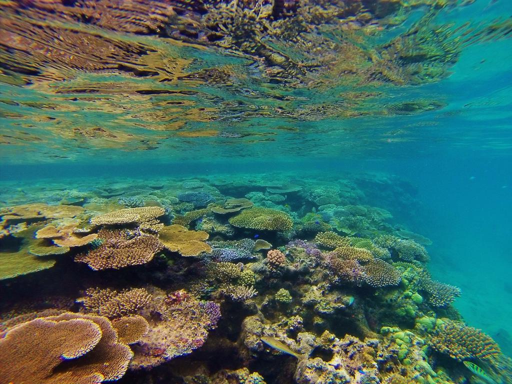Mai Dive' Astrolabe Reef Resort Naqara Dış mekan fotoğraf