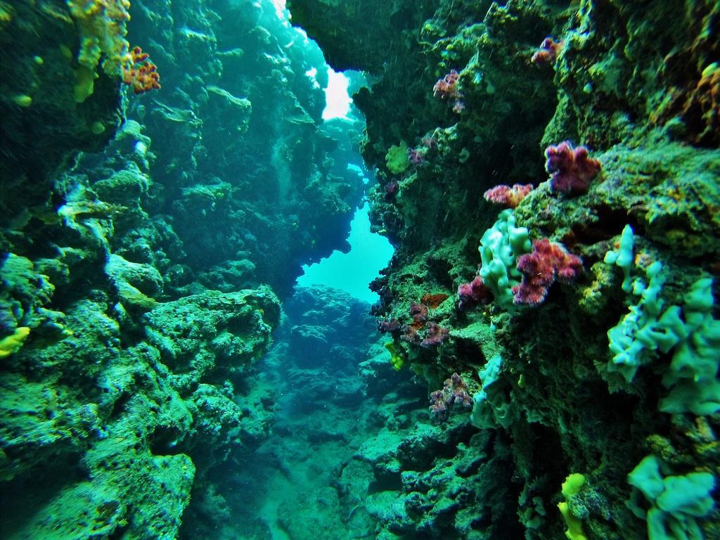 Mai Dive' Astrolabe Reef Resort Naqara Dış mekan fotoğraf